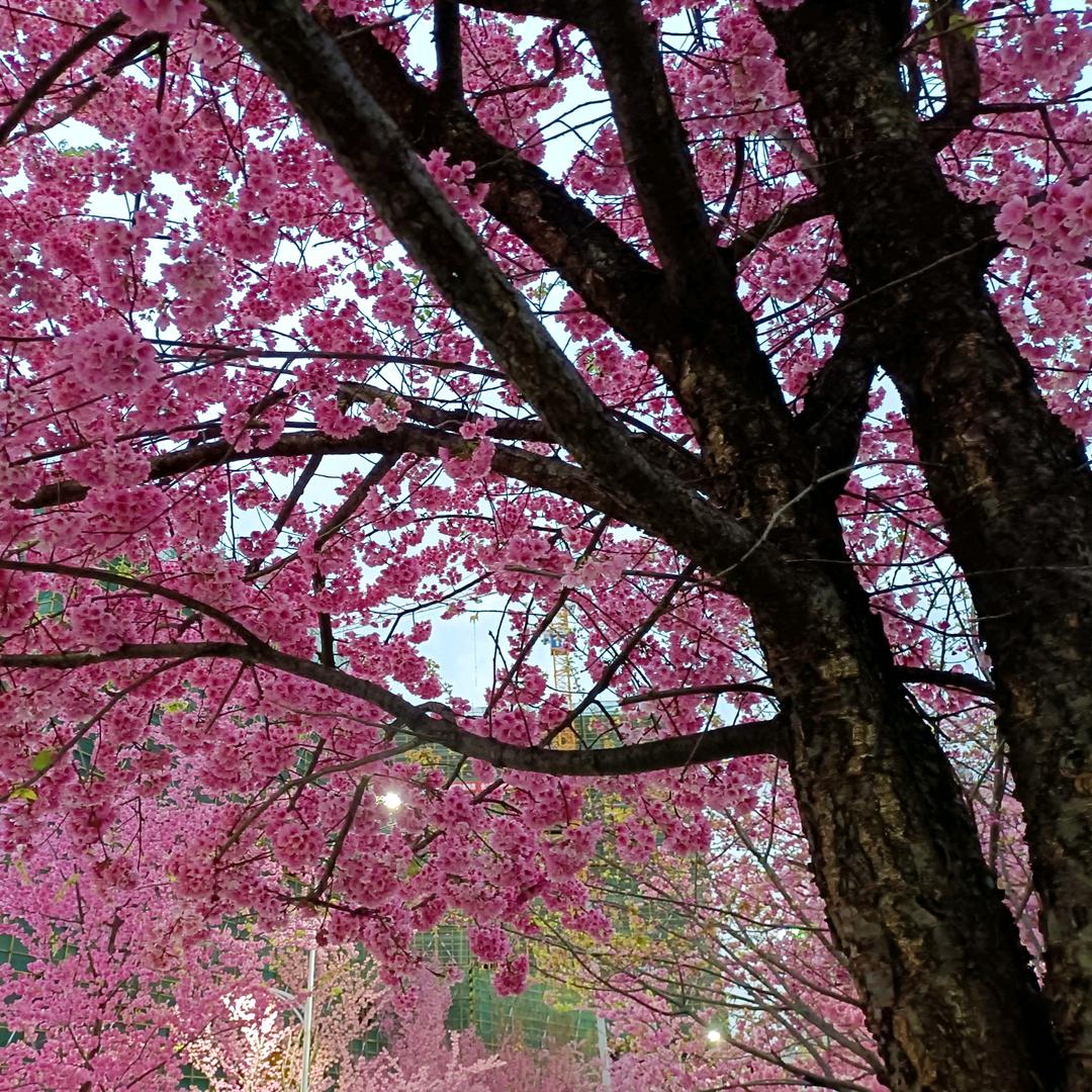 呀呀呀呀呀呀呀呀