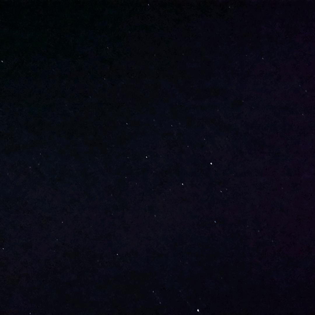♤♤♤♤