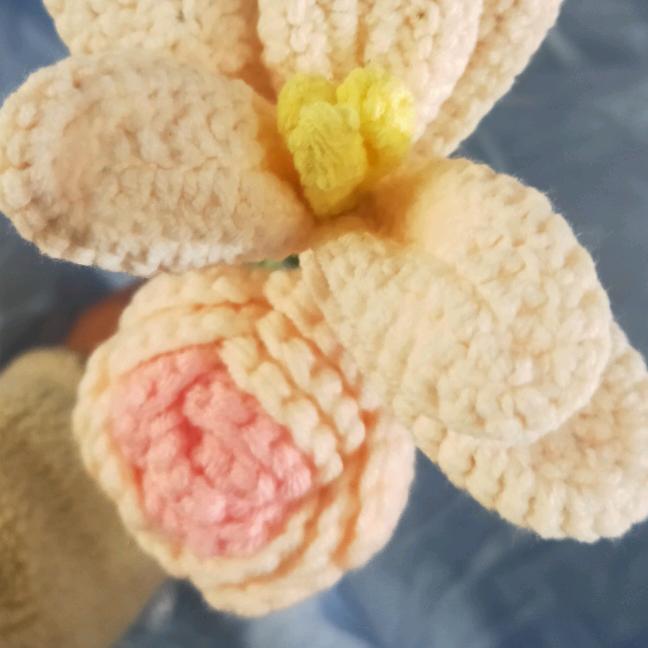 辣妹小丽