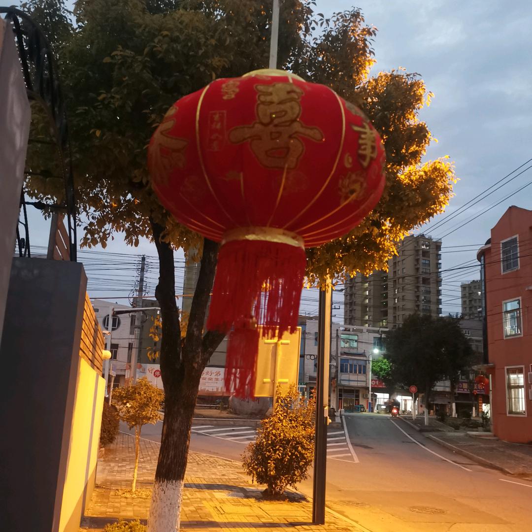 天天开心🐮