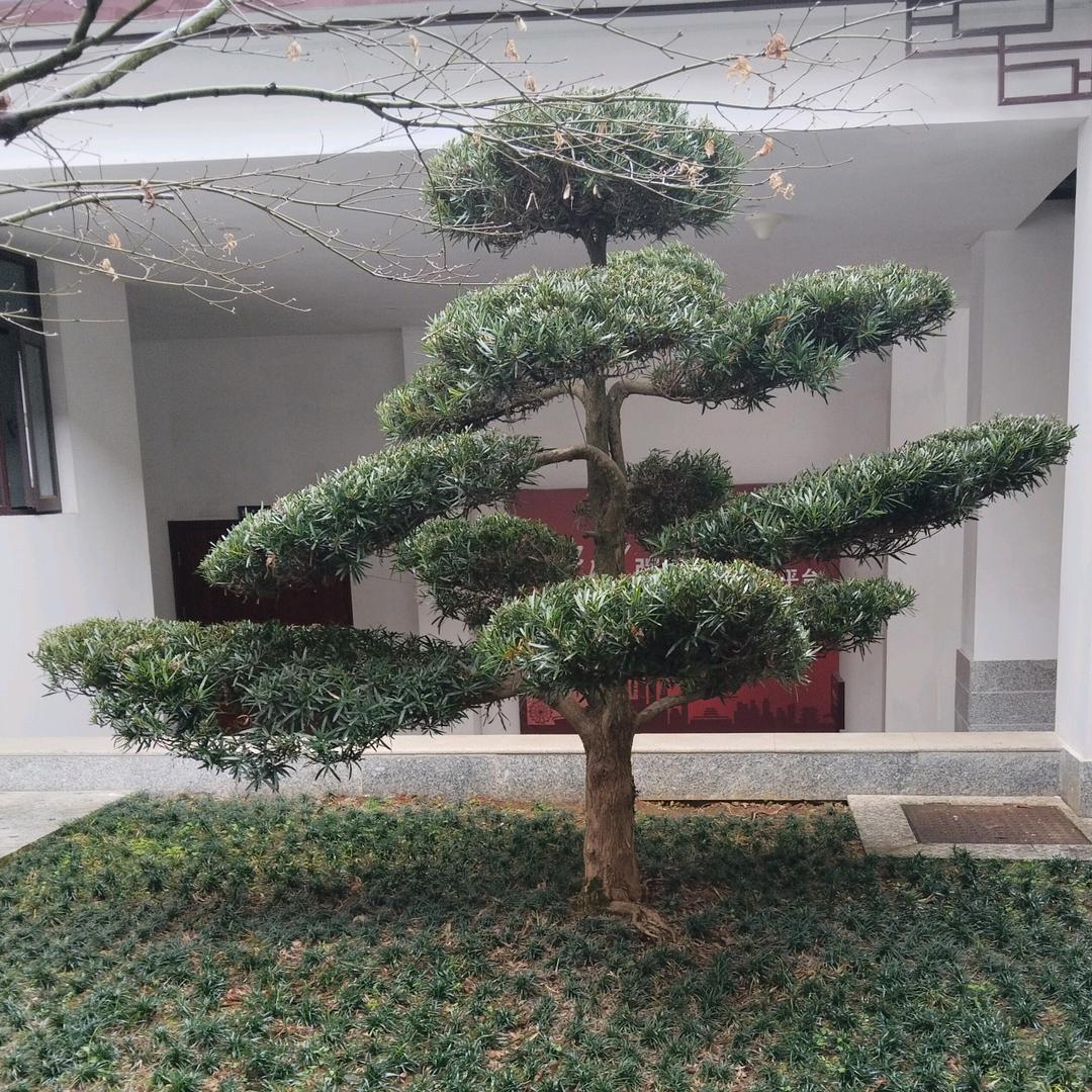 小心心好物分享