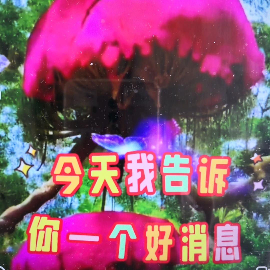 团结力量无限
