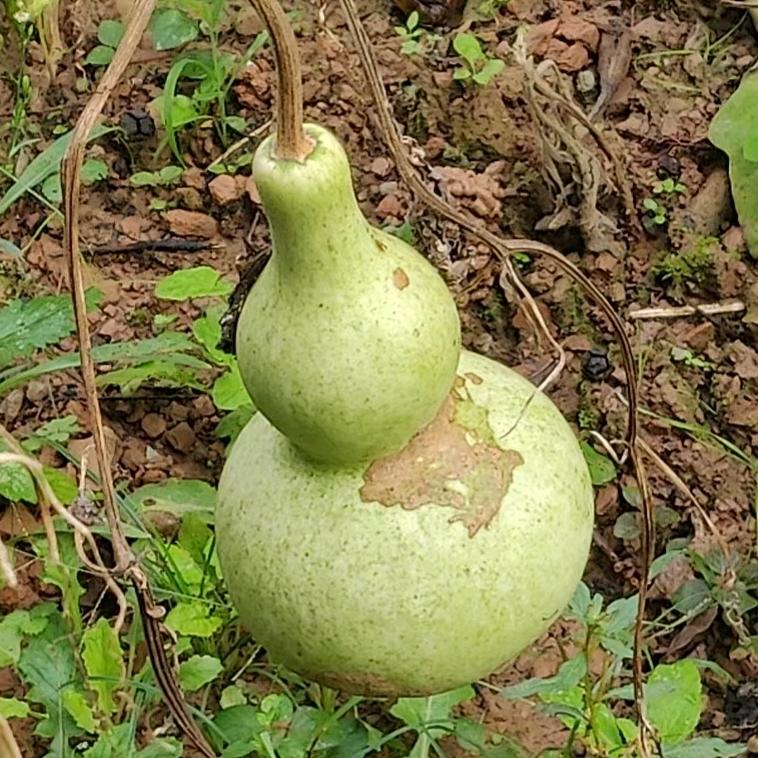 一动不动