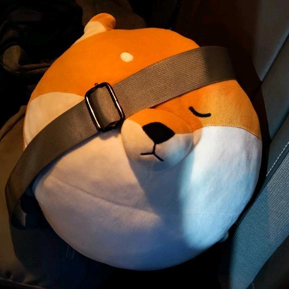 轻功小蚊子~BI7APW