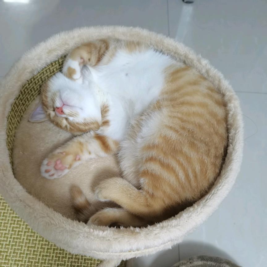 雨人的孤独