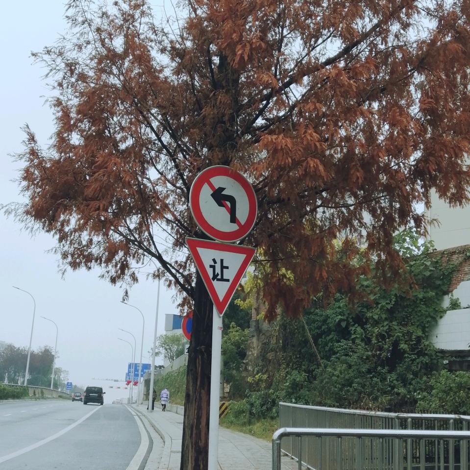 小林林