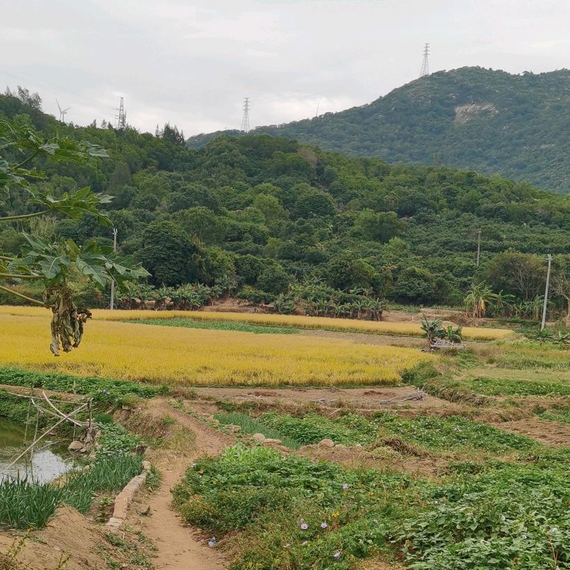 用户名61682037头像