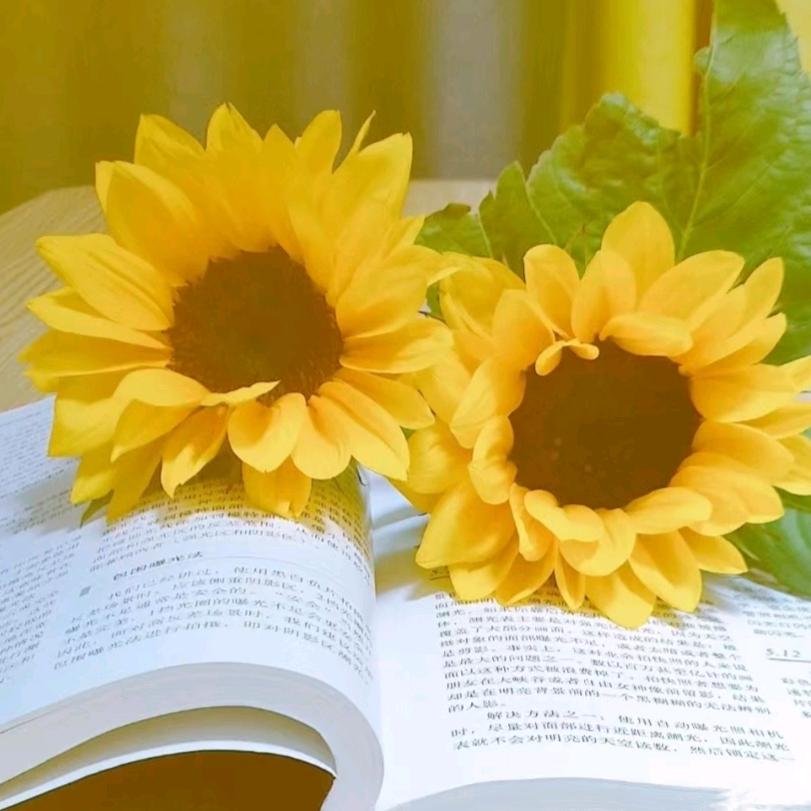 时尚好物