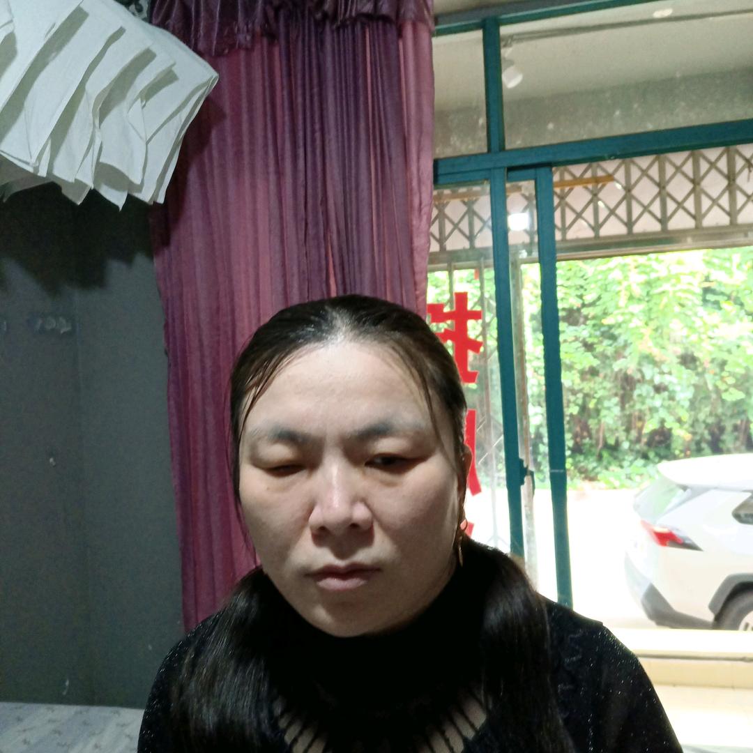 蝴蝶花