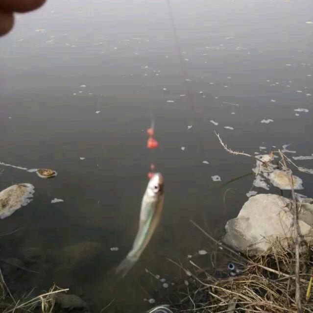 船丁杀手🎣