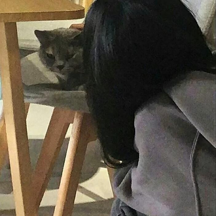 数一千遍羊ᶻ
