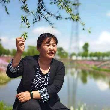 杏树鑫龙  金彭  电动车