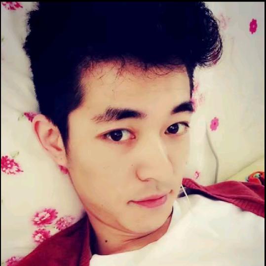 大河向东（刘）先生