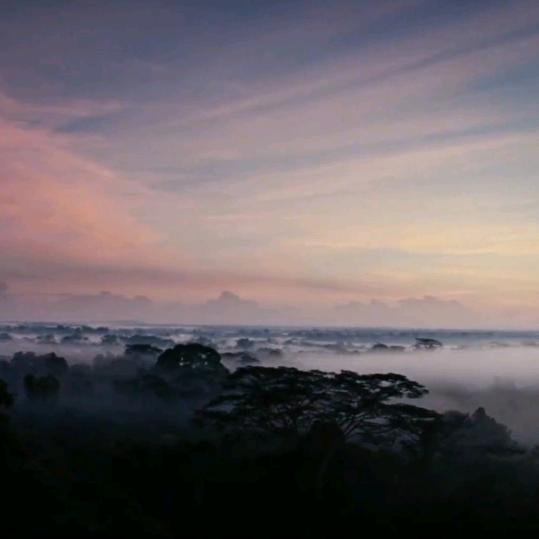 火山Ծ‸Ծ小然