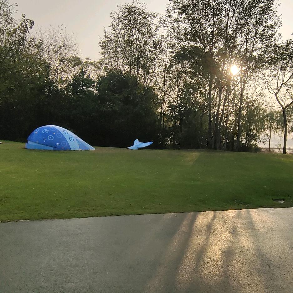 陆地上的鲸鱼🐳