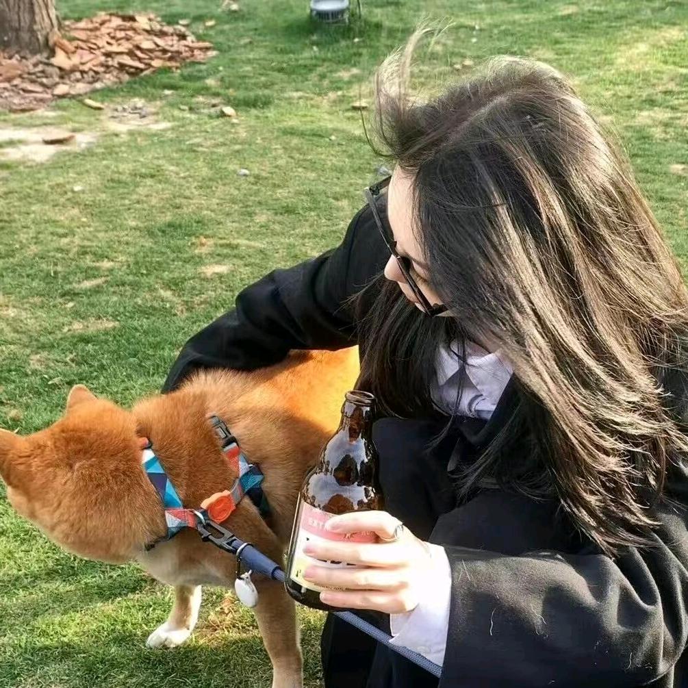 🐶🙈