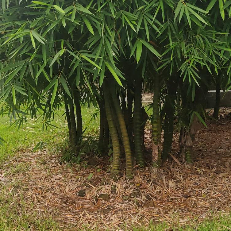 快樂