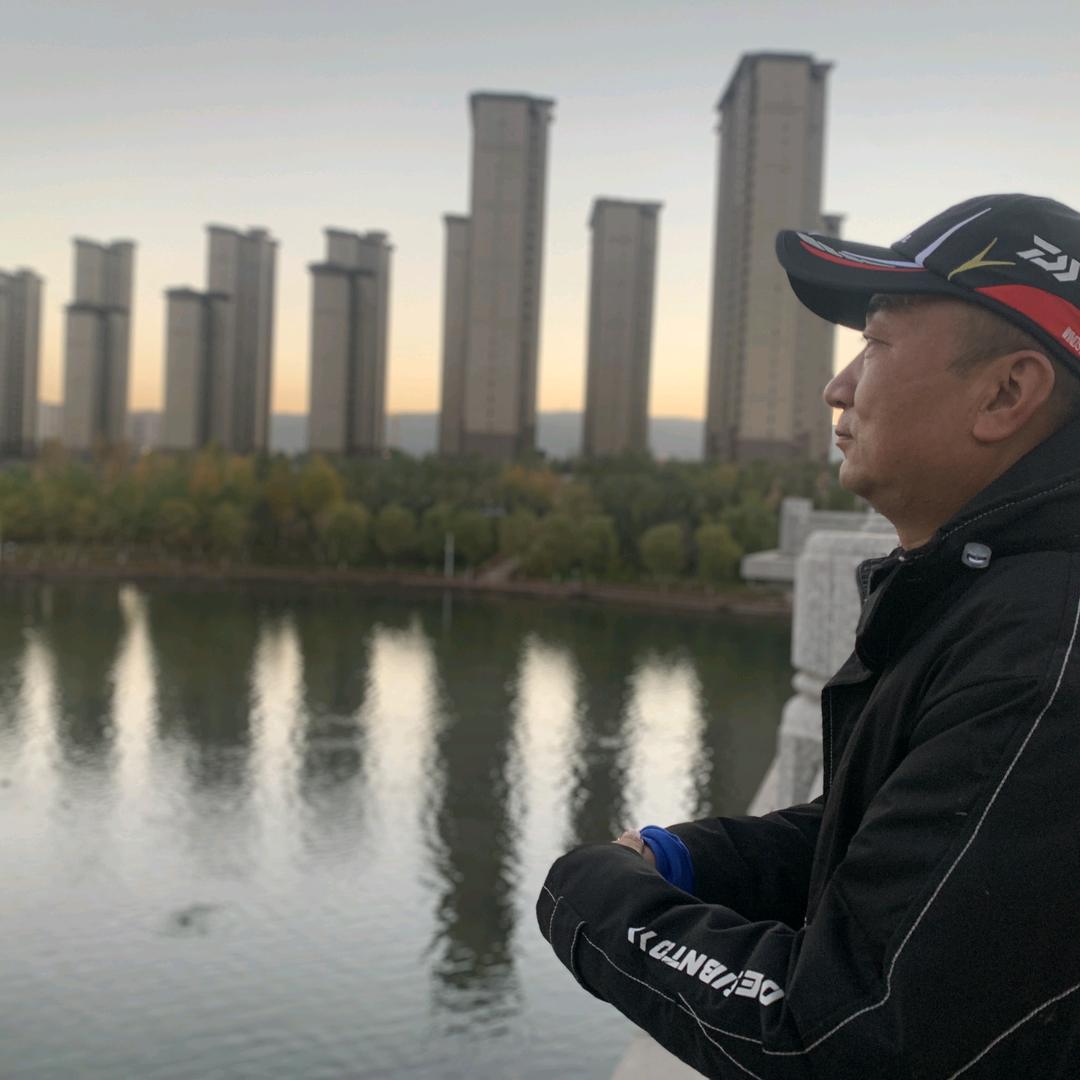 小马哥宠物