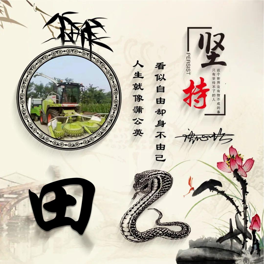 二手农机《胜达》青储机