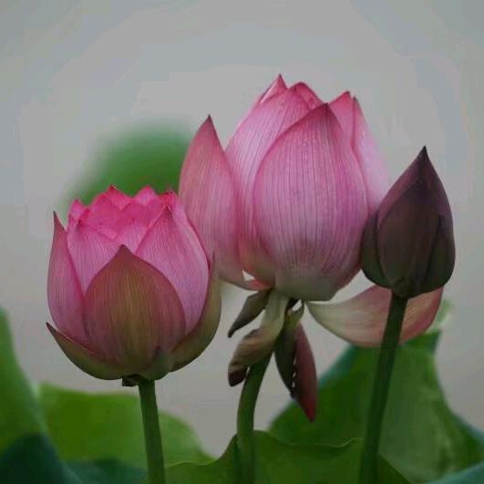 💕᭄ꦿ永芬🕊꧔ꦿ᭄💞