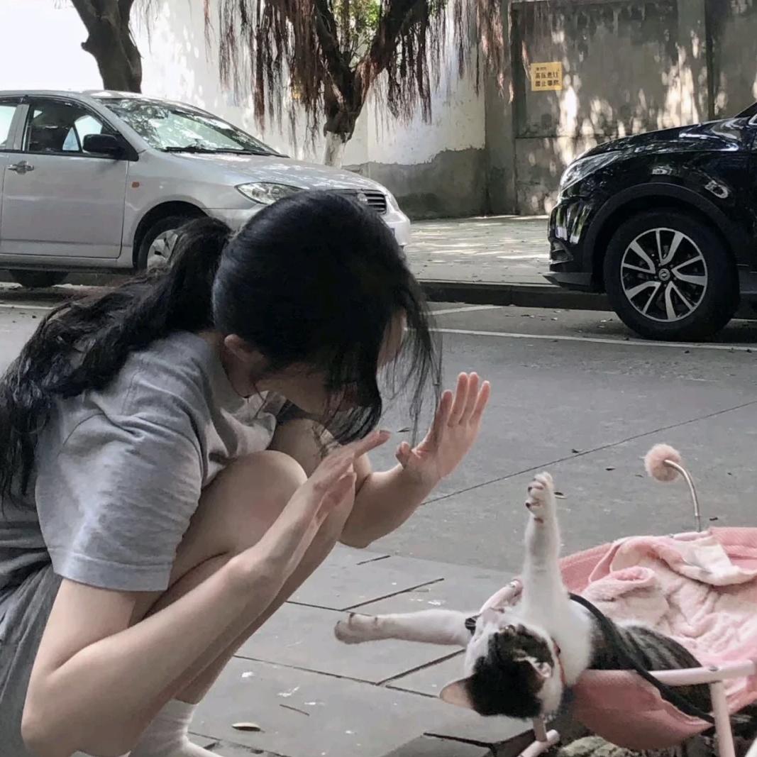 好运小狗
