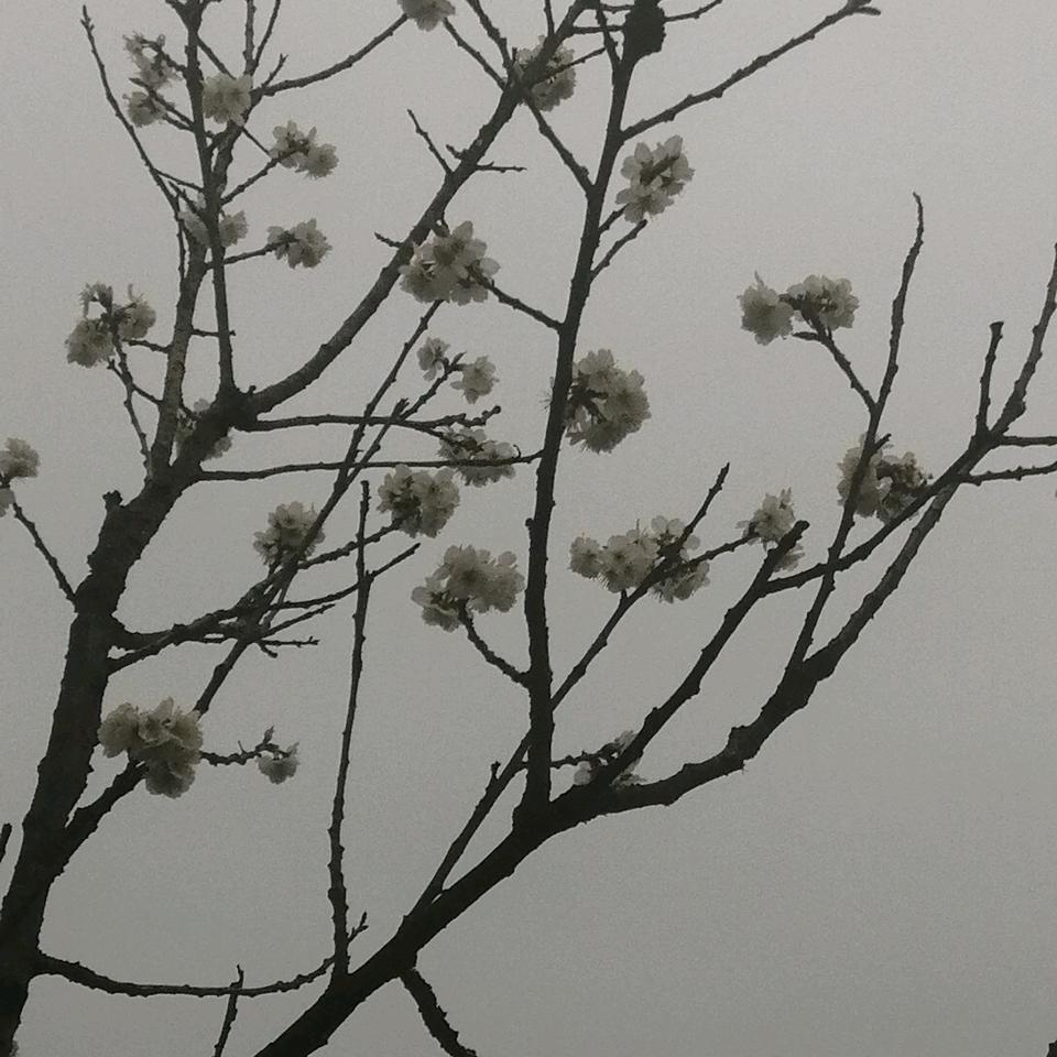 牧马人