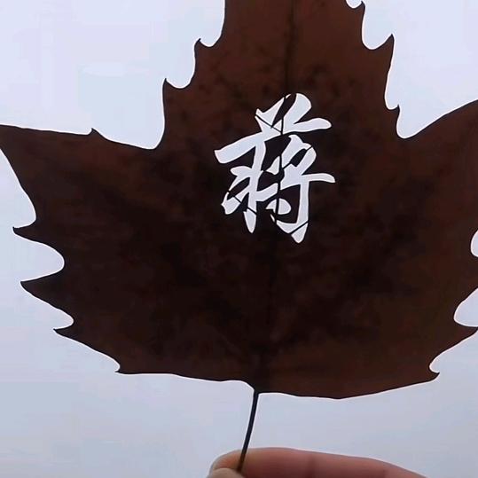 情有独钟