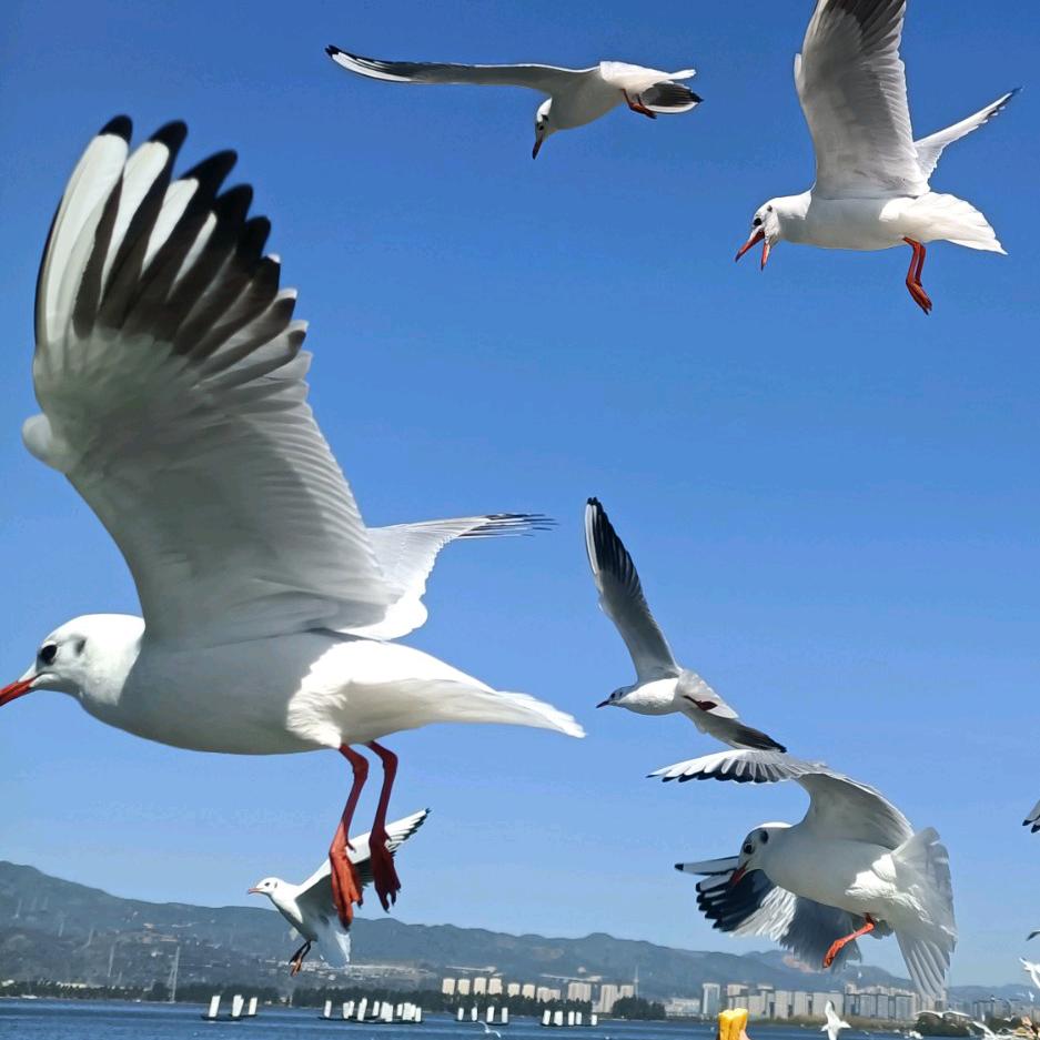 穿越