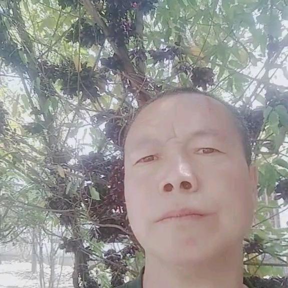 追梦的人