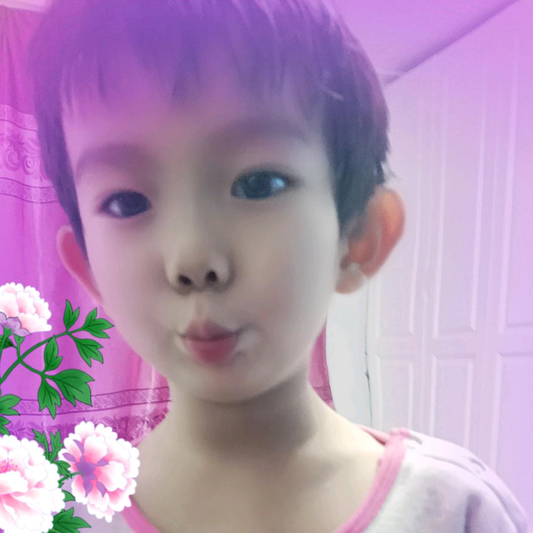 英明阳光