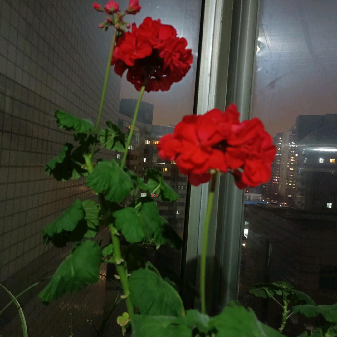 付岀