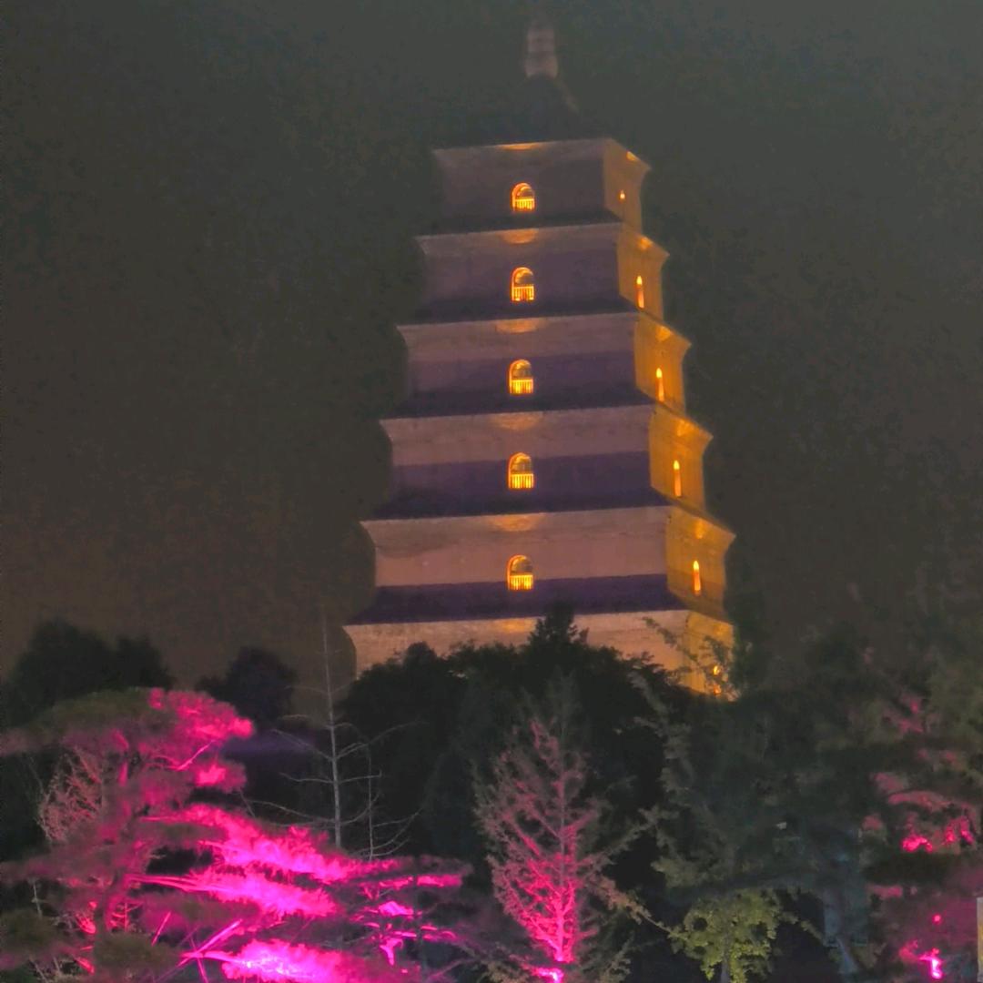 稳步向前