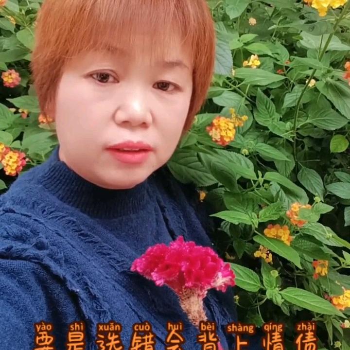 紫罗兰松乐麻将机🌹🌹