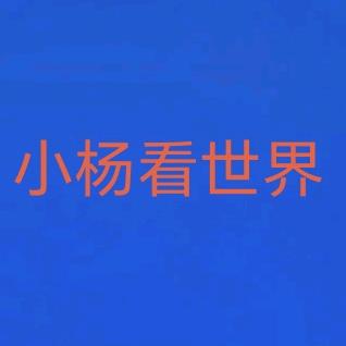 小杨看世界
