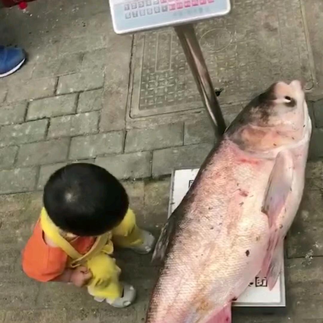 ⚓️🐠愿者上钩🎣