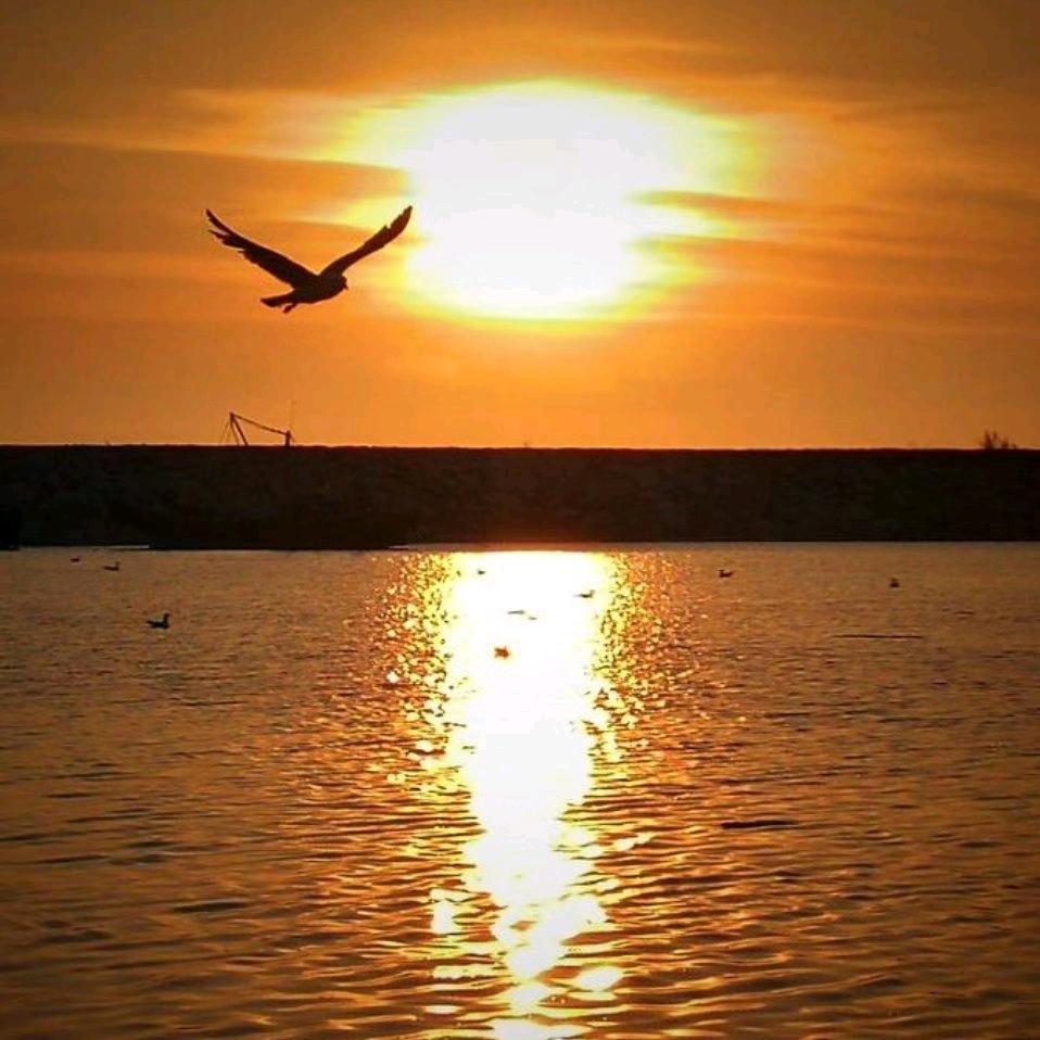 ༺ཎཽ 套马杆 ནཽཾ༻ྃ