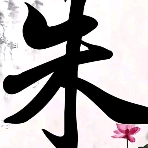 酵素西红柿种植者，老龙。