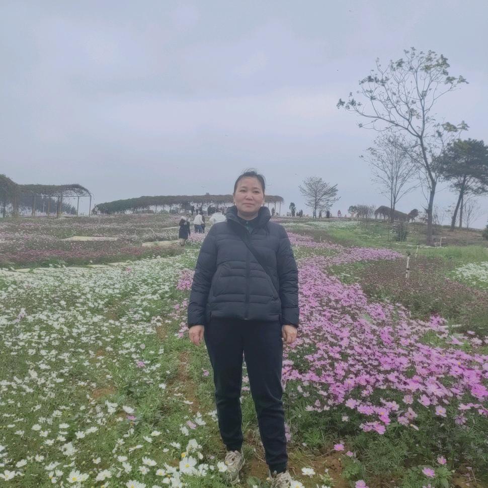 鹤辞