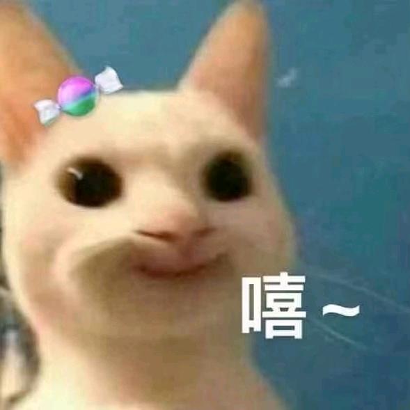 🌈呼噜