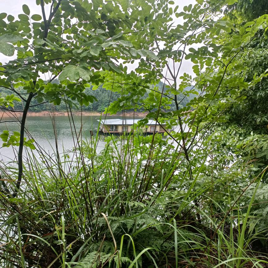 骑着策划去放牛