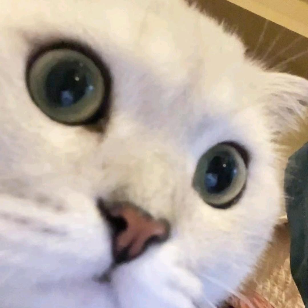 在你的鼻孔尿！尿！💥