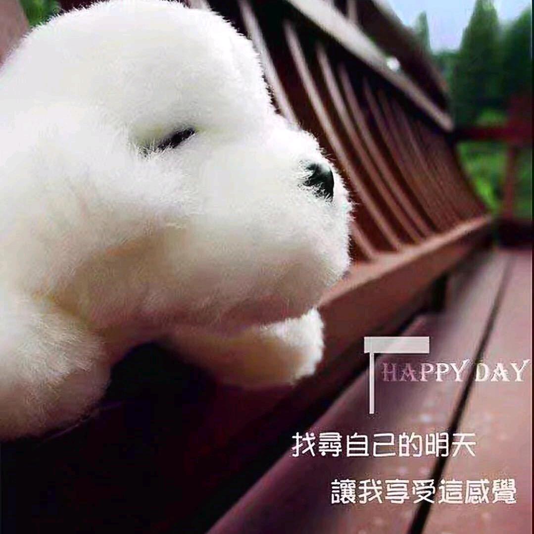 心想事成