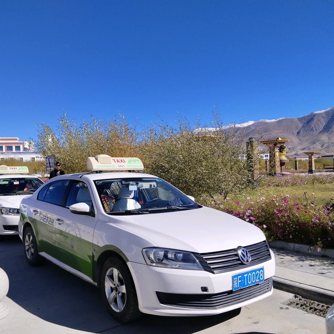 阿里，地士哥，