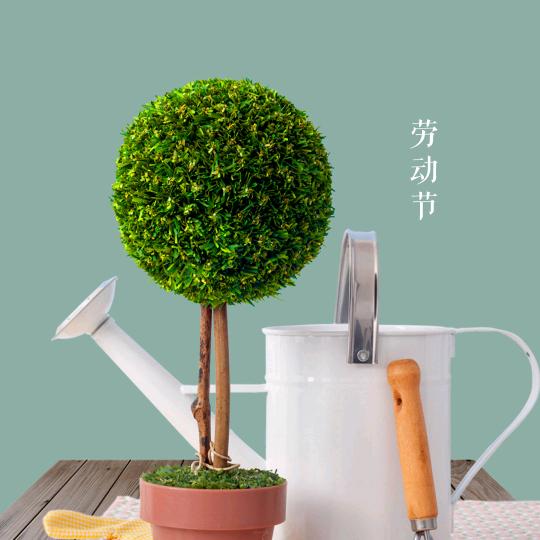 蒋道胤