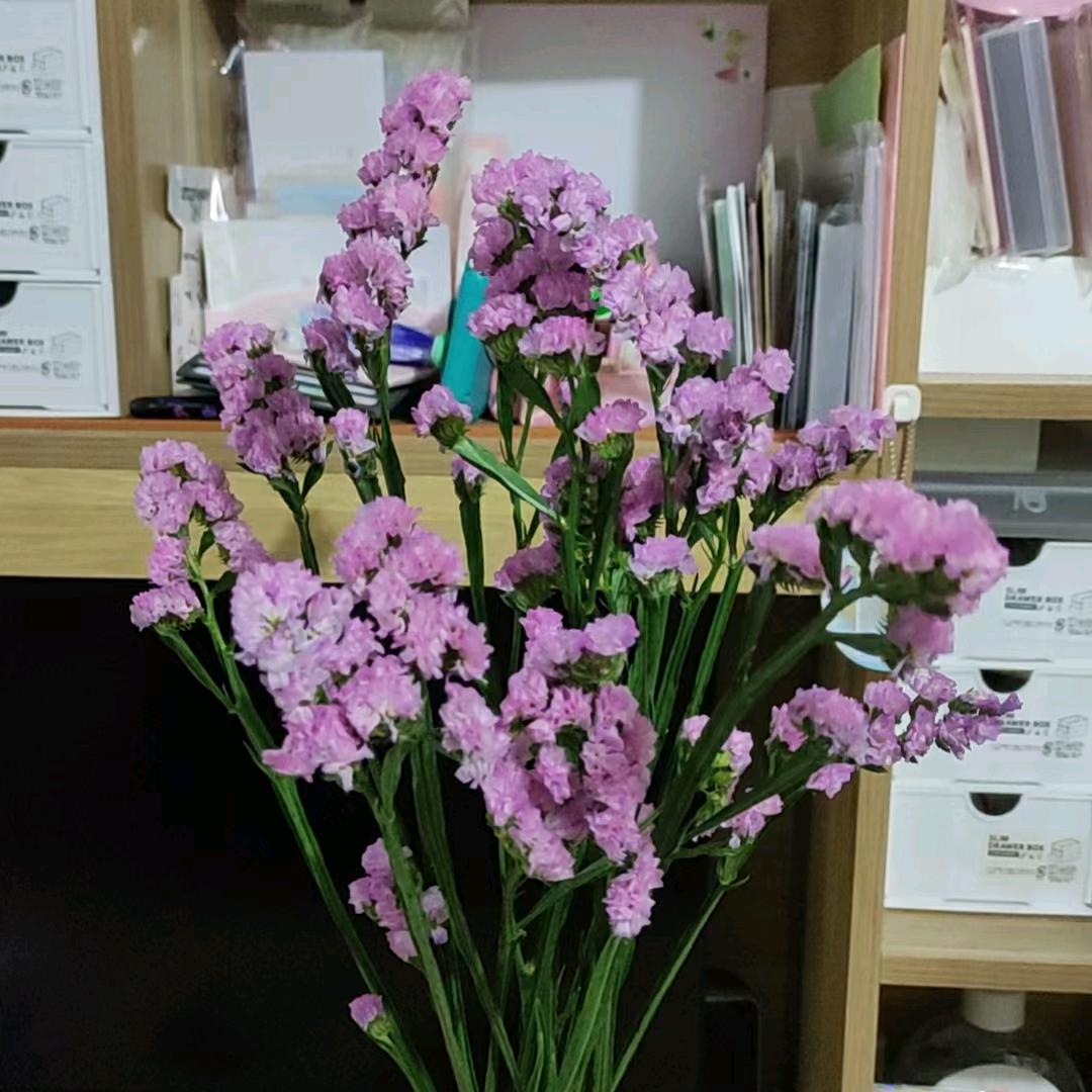 美好的阳光