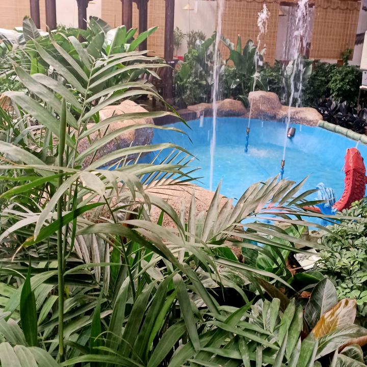 吃水不忘挖井人