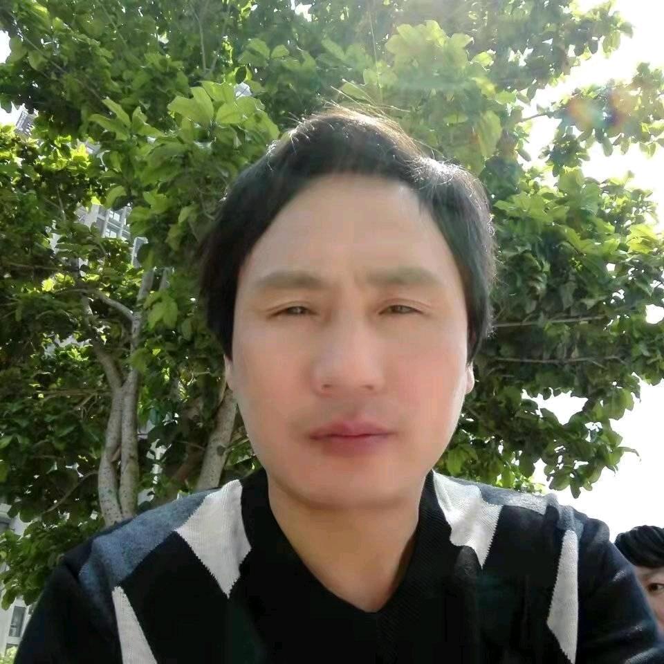 会飞的龙