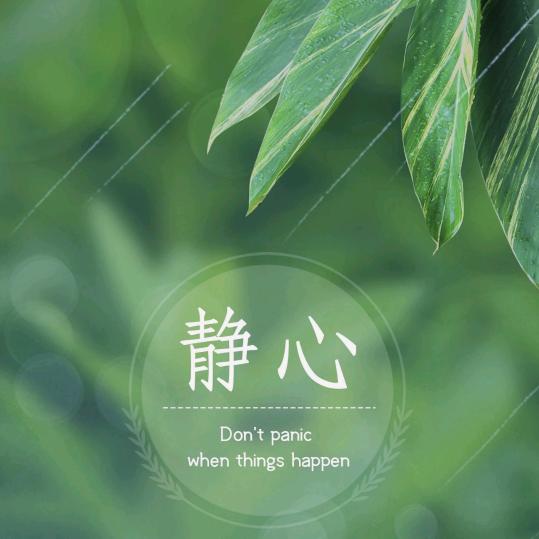 ZHANGWEI张