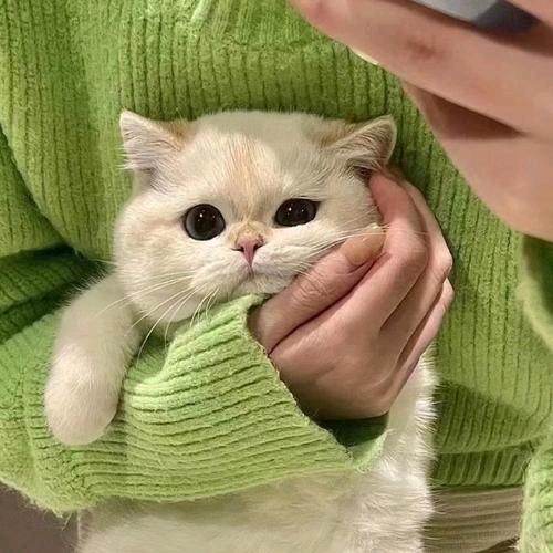 宁宝💐