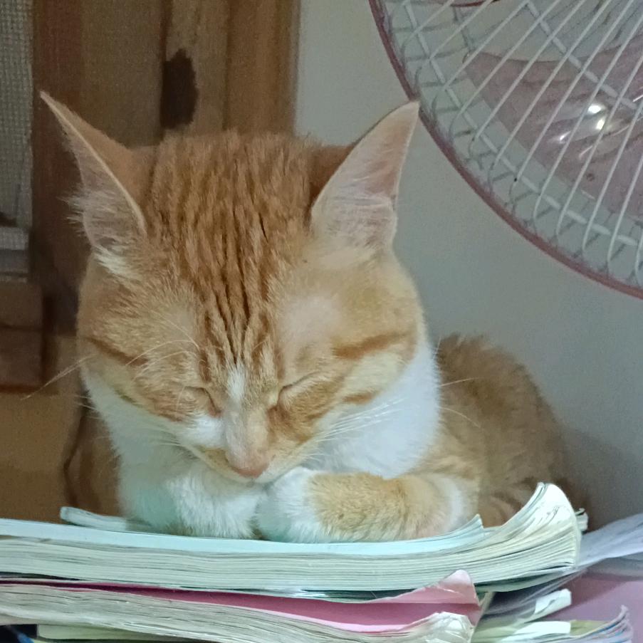 人生不易且行且珍惜